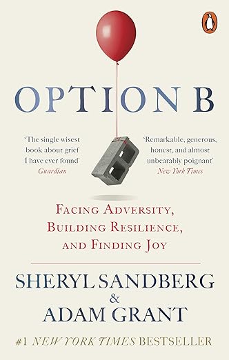 Cover of Option B